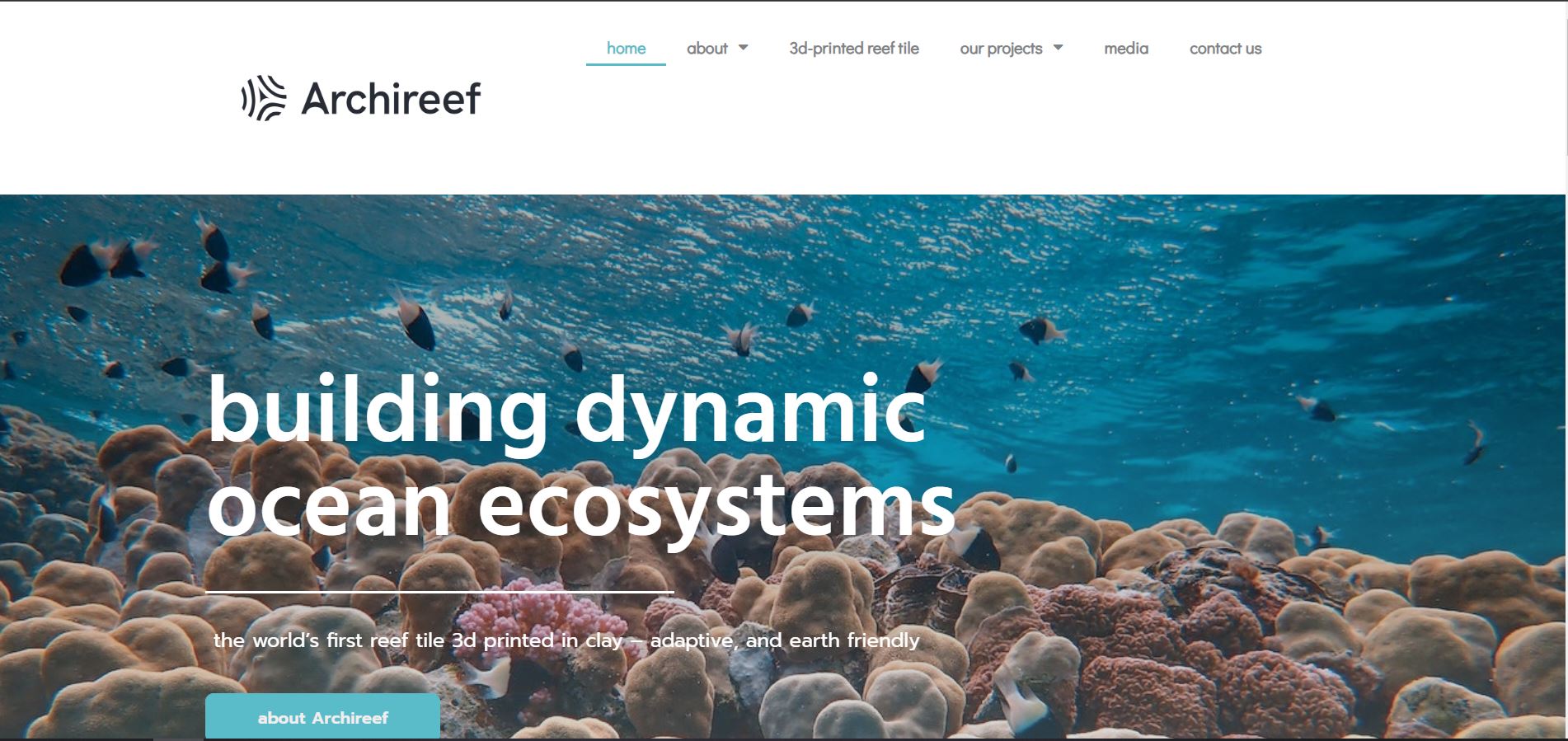 Building Dynamic Marine Ecosystems